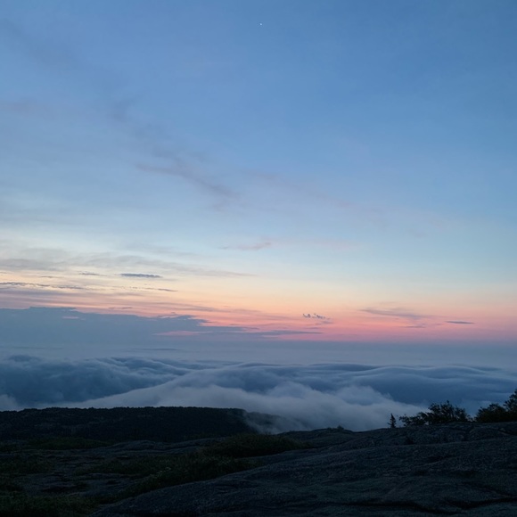 Meet your Posher, Batsheva - Picture 1 of 1